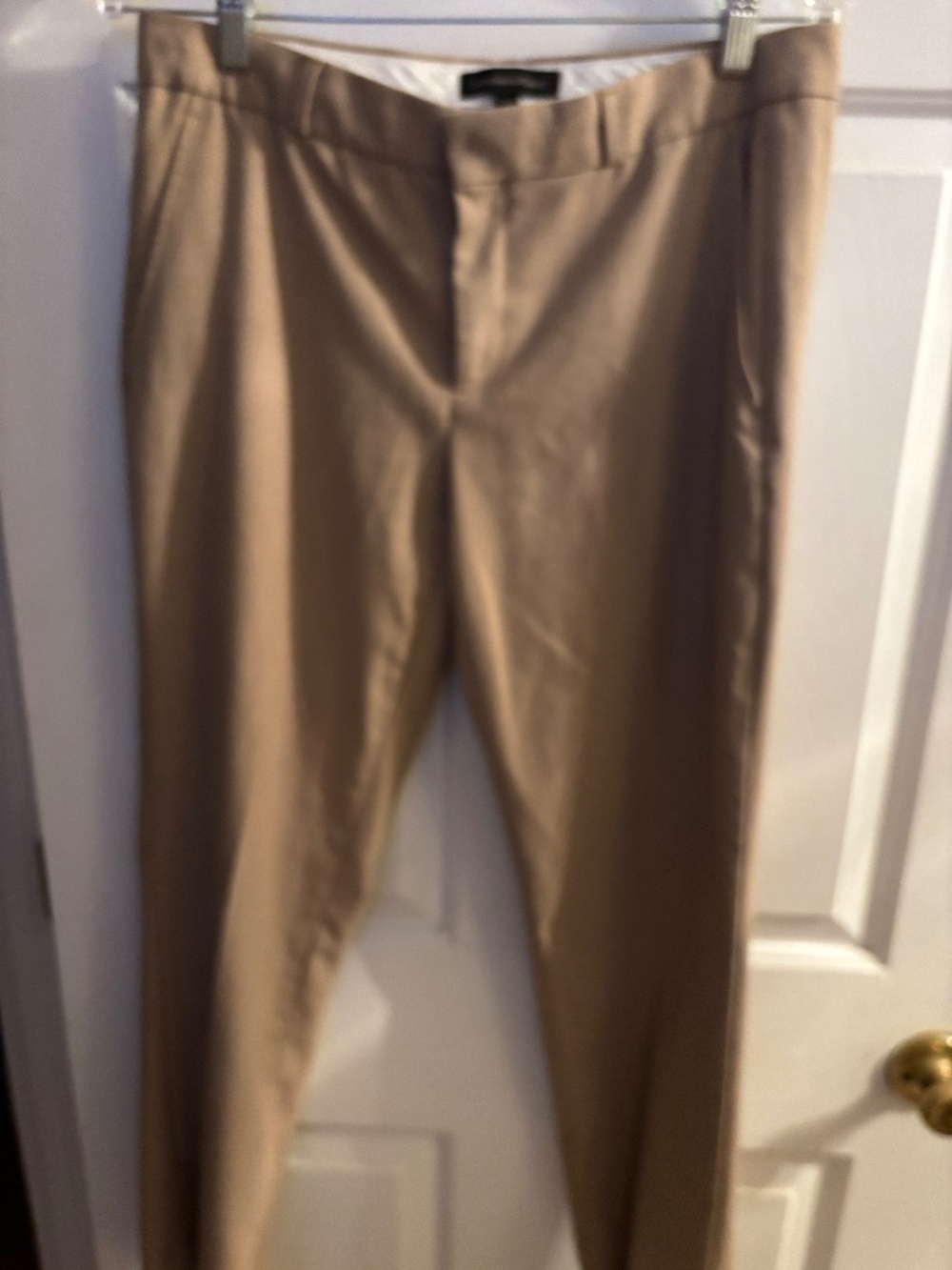 Tan Banana Republic Ryan Pants Size 8P